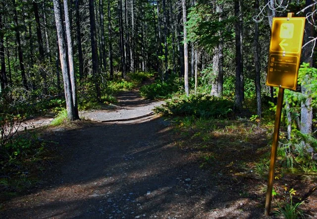 2012 Canyon Walk-340