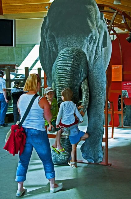 2011 Calgary Zoo-080