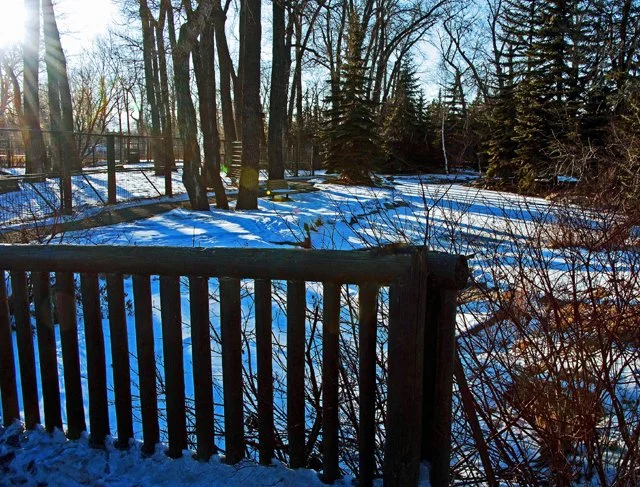 2012 Calgary Winter-140