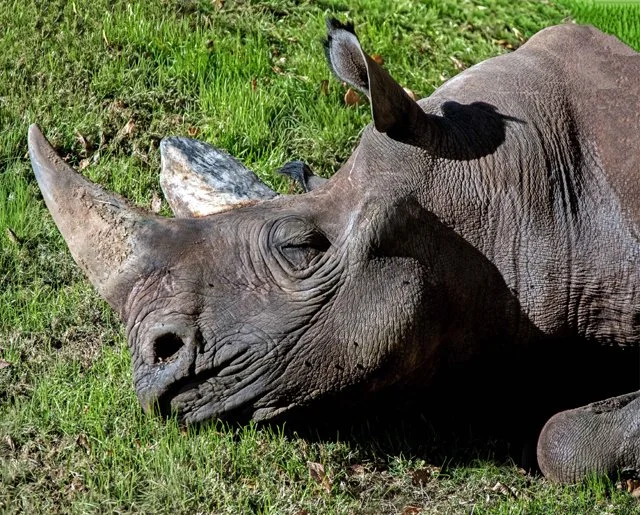 2024 FW Zoo-150