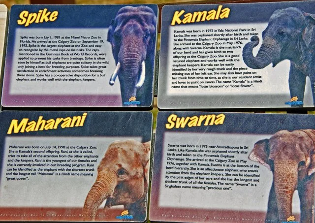 2011 Calgary Zoo-070