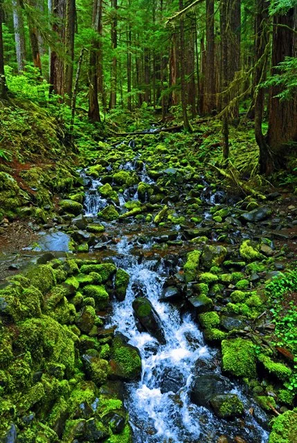 Sol Duc-073.jpg