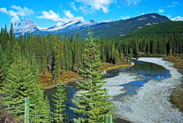 2012 Icefield Pkwy-010