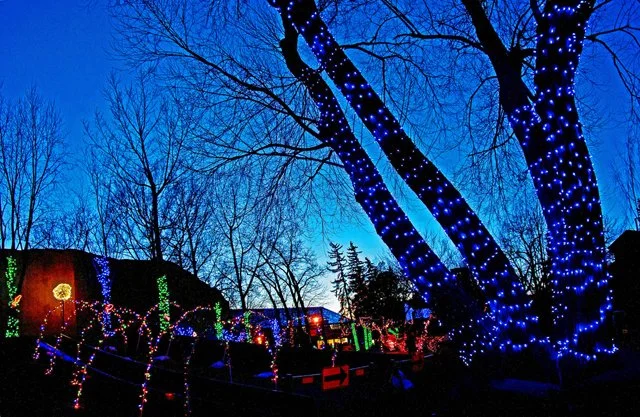Zoolights-044.jpg