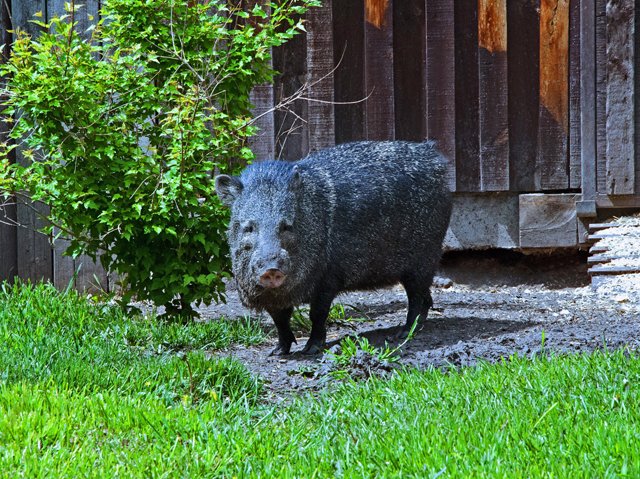 2012 Calgary Spring-200