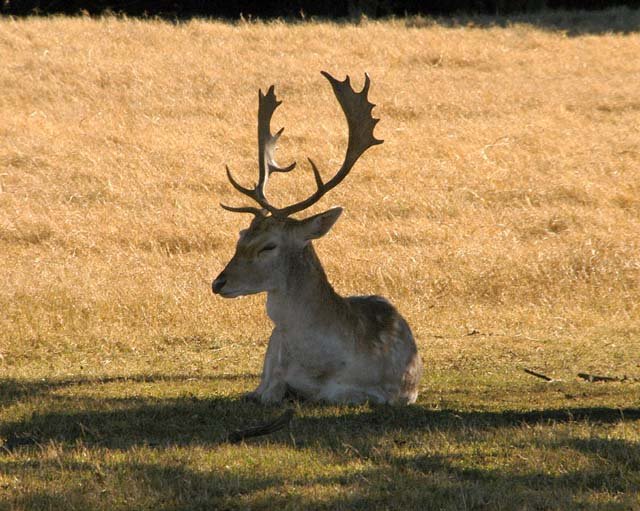 2003 Fossil Rim-162.jpg