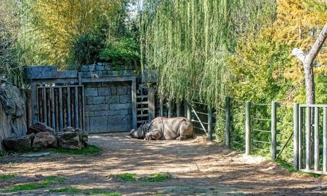FW Zoo-032.jpg