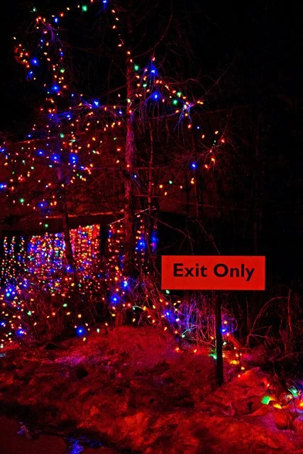 1592012 Calgary Zoolights-160