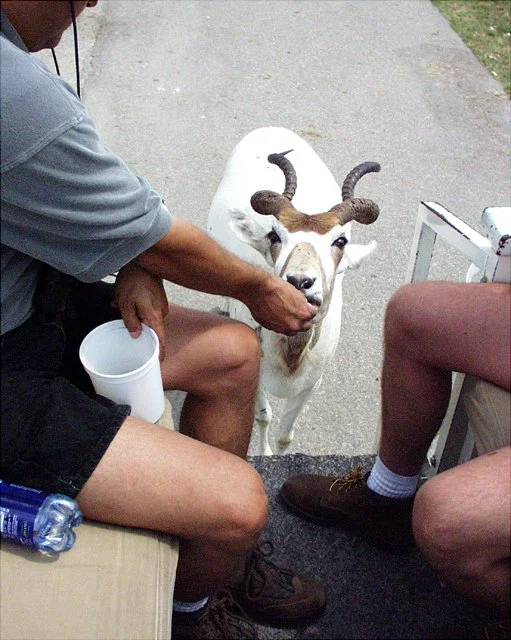 2001 Fossil Rim-083.jpg