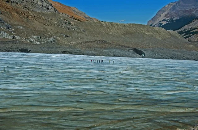 Icefield-187.jpg
