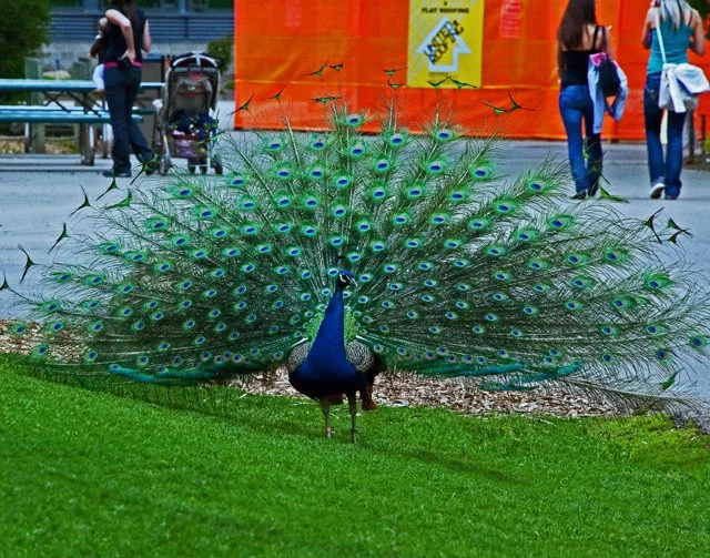 2012 Calgary Spring-180