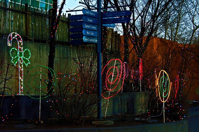 2012 Calgary Zoolights-080