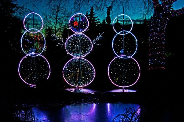 2012 Calgary Zoolights-120