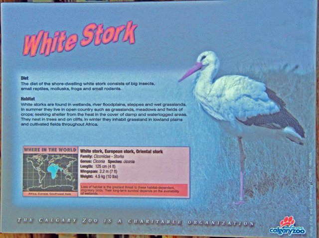 2011 Calgary Zoo-030