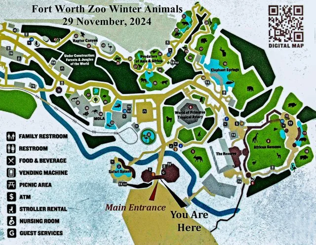 FW Zoo-002.jpg