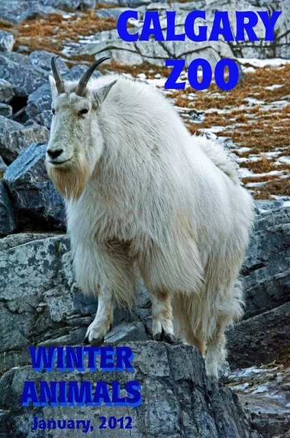 2012 Calgary Winter-001