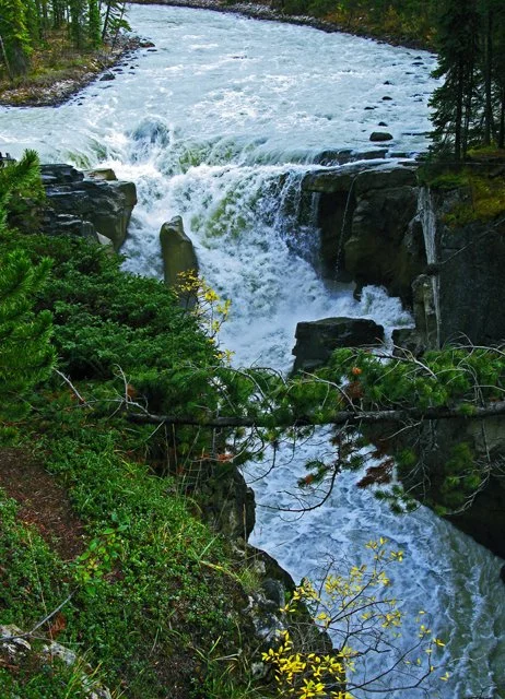 Sunwapta-046.jpg