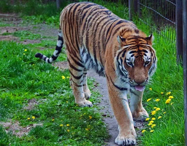 2012 Calgary Spring-020