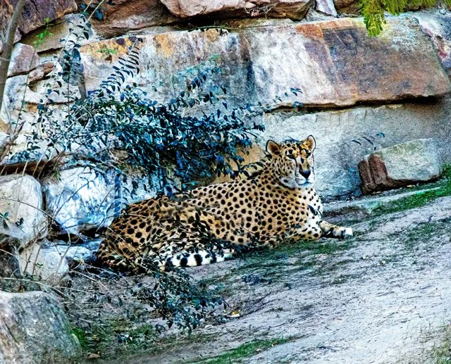 FW Zoo-074.jpg