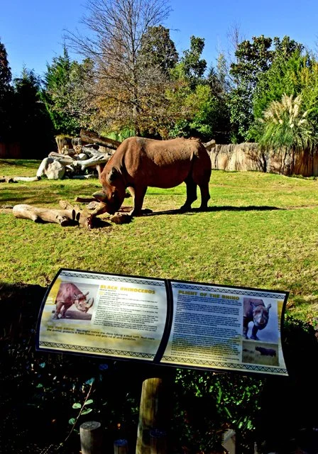 FWZoo-344.jpg