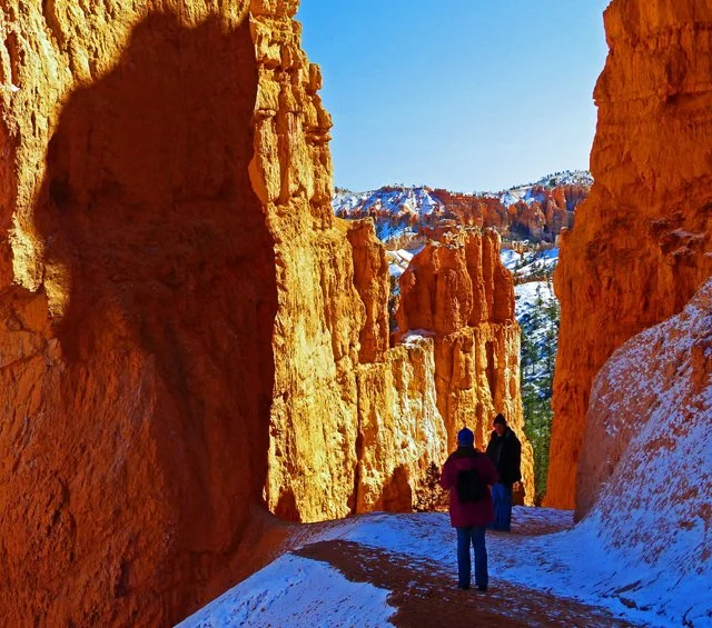 Bryce Canyon-210