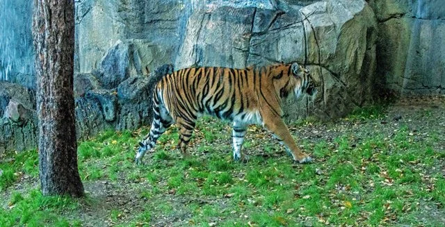 FW Zoo-056.jpg