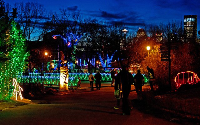 Zoolights-026.jpg