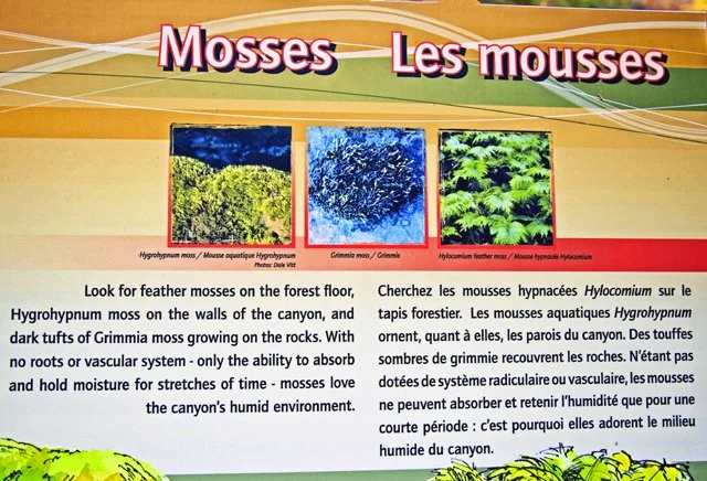 2012 Canyon Walk-170