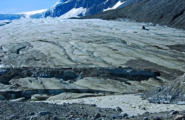 Icefield-254.jpg