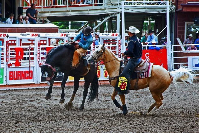 Rodeo-085.jpg
