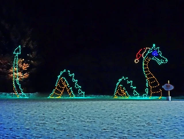 Zoolights-098.jpg