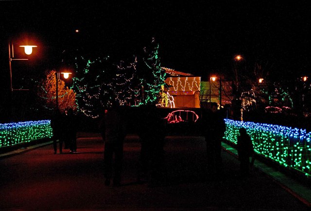 Zoolights-029.jpg