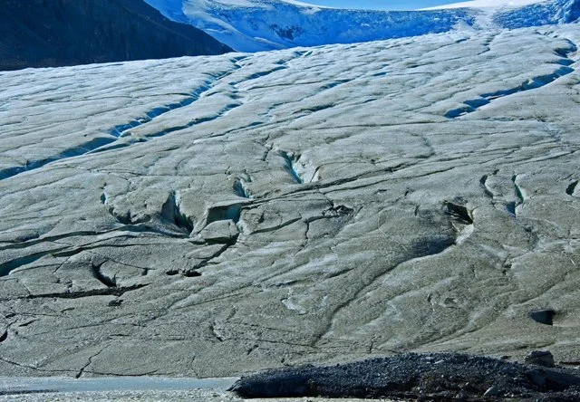 Icefield-245.jpg