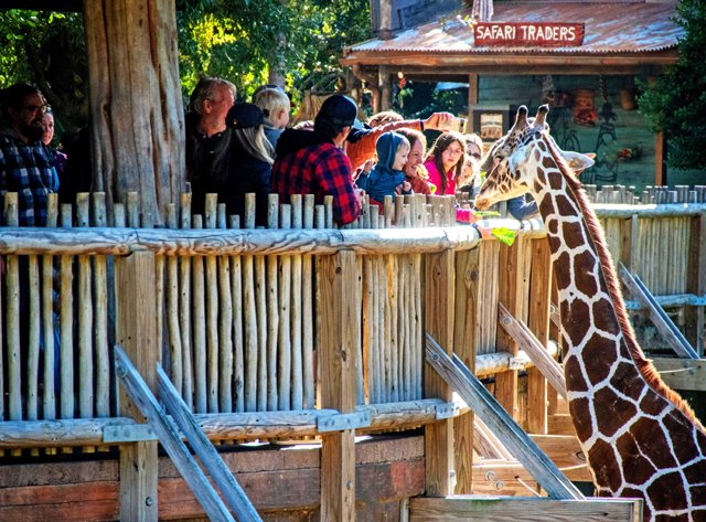 FW Zoo-123.jpg