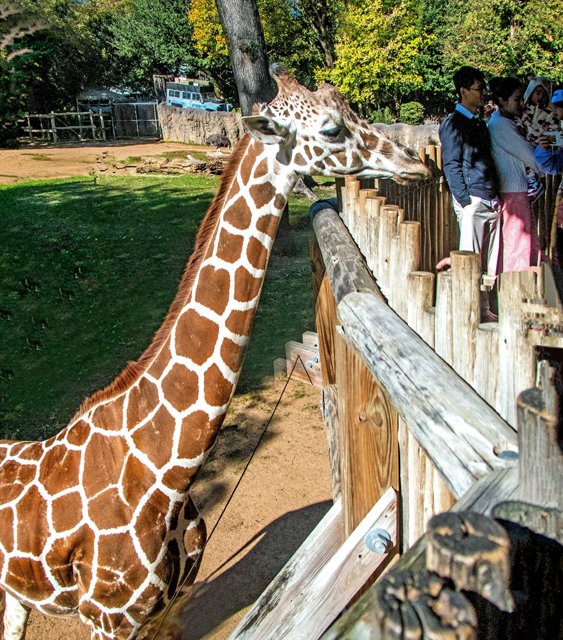 FW Zoo-122.jpg