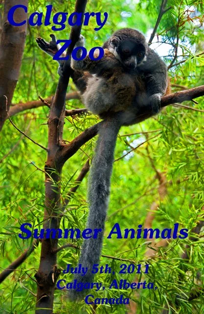 2011 Calgary Zoo-001