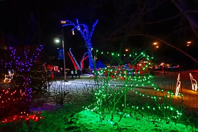 Zoolights-042.jpg