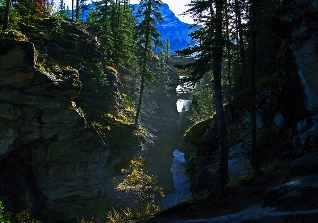 Athabasca-209.jpg