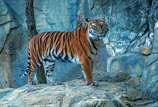 FW Zoo-063.jpg