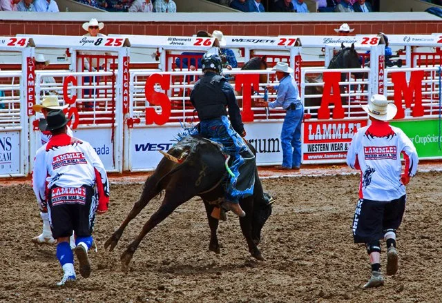 Rodeo-131.jpg