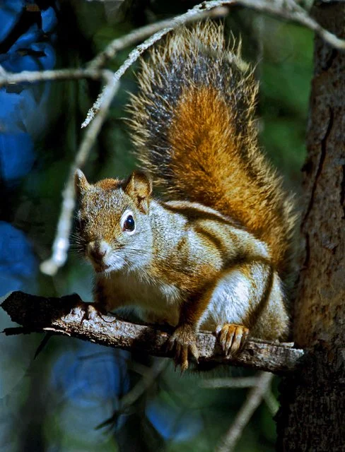 2012 Canyon Walk-420