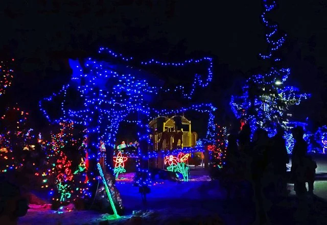 2013 Calgary Zoolights-130