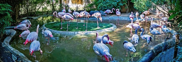 FW Zoo-153.jpg