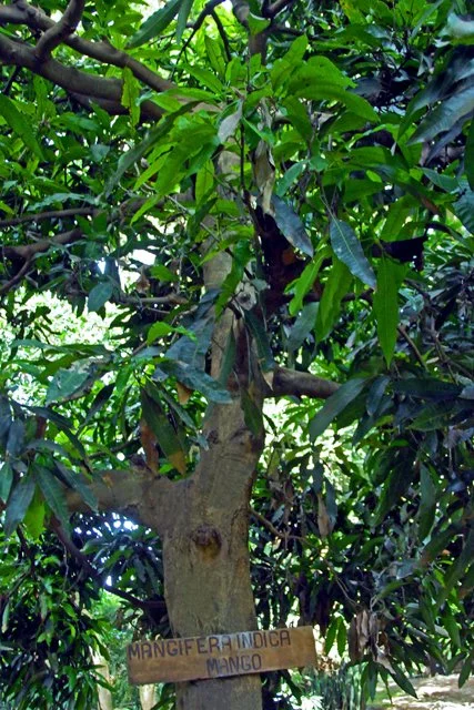 2011 Day 01-060