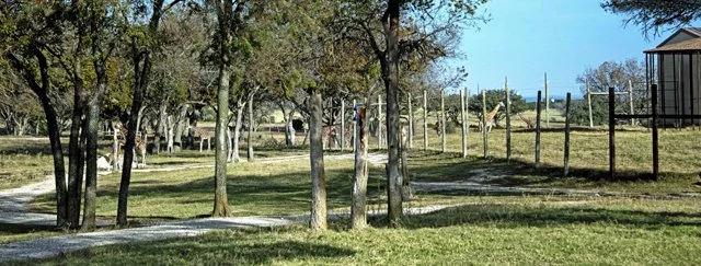 Fossil Rim-139.jpg