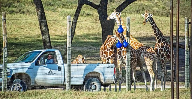Fossil Rim-154.jpg