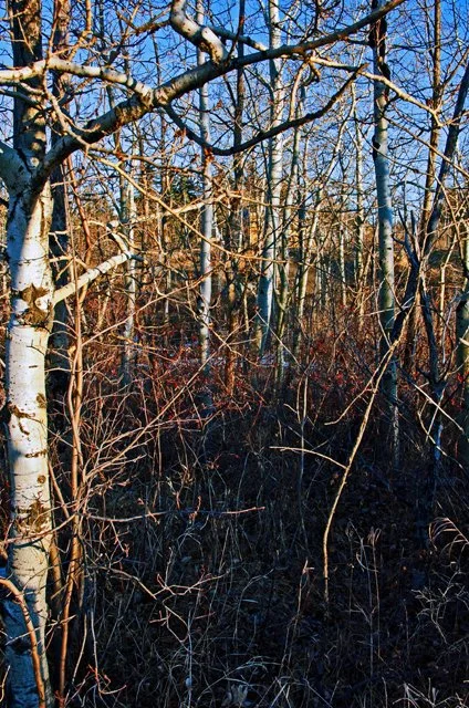 2012 Calgary Winter-050