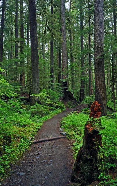 Sol Duc-009.jpg