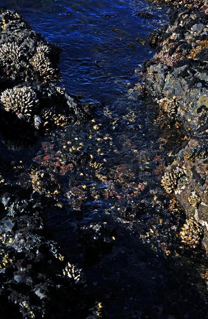 SaltCreek-138.jpg