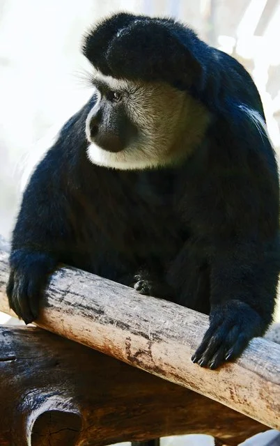 2011 Calgary Zoo-280